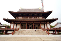 zojoji, zojoji templi, tempio zojoji, tokyo, tempio tokyo, tokyo temple, japan italy bridge