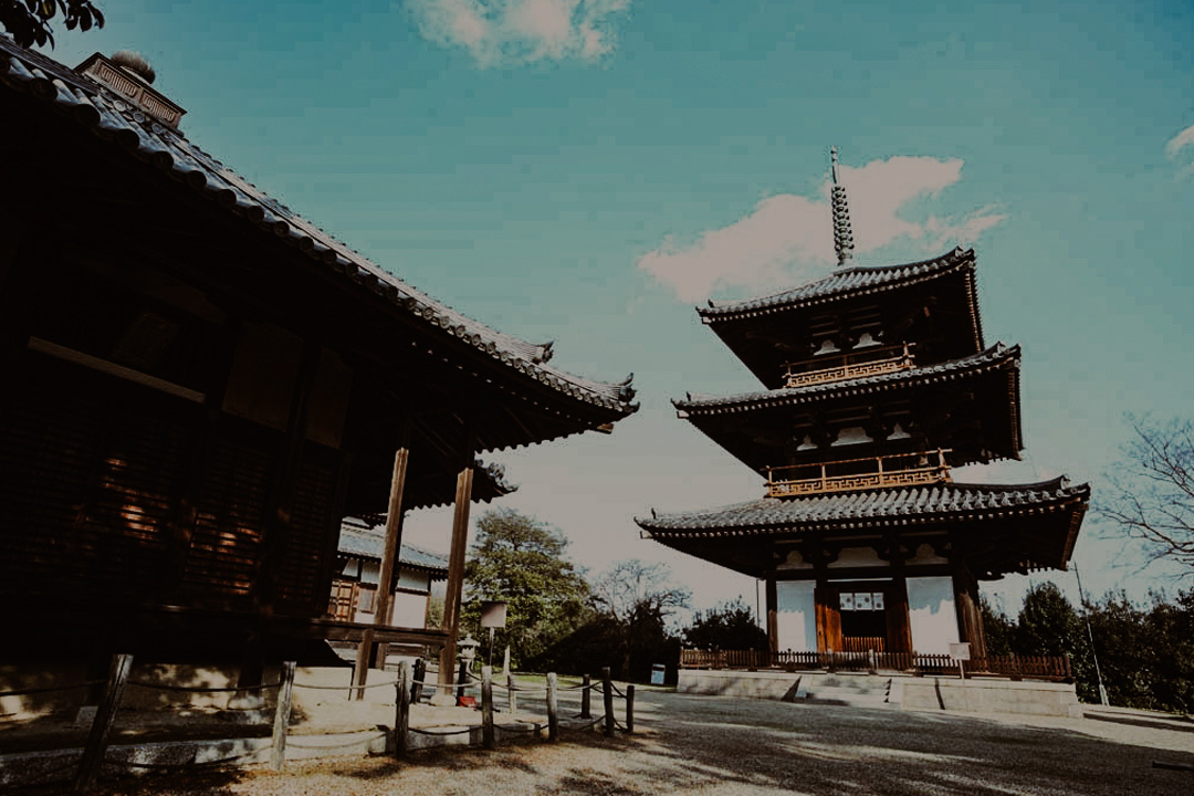 Il Giappone come l'Italia ha tantissime mete turistiche e fra queste troviamo i sette templi di Nara, una meta ricca di storia e cultura.